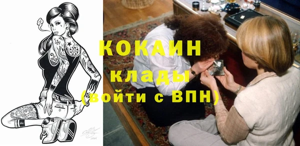 твердый Чекалин