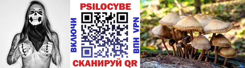 кракен ССЫЛКА  Козловка  Псилоцибиновые грибы Cubensis  купить наркотик 